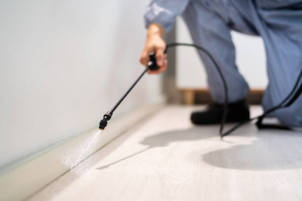 Bed Bug Pre-Treatment Preparation Assessment in Tillamook