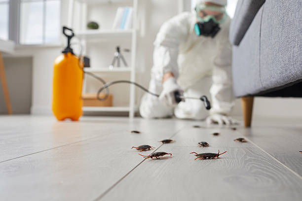 Post-Treatment Bed Bug Interceptor Monitoring in Tillamook